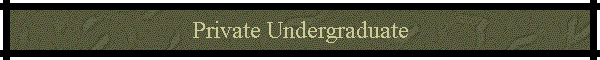 Private Undergraduate